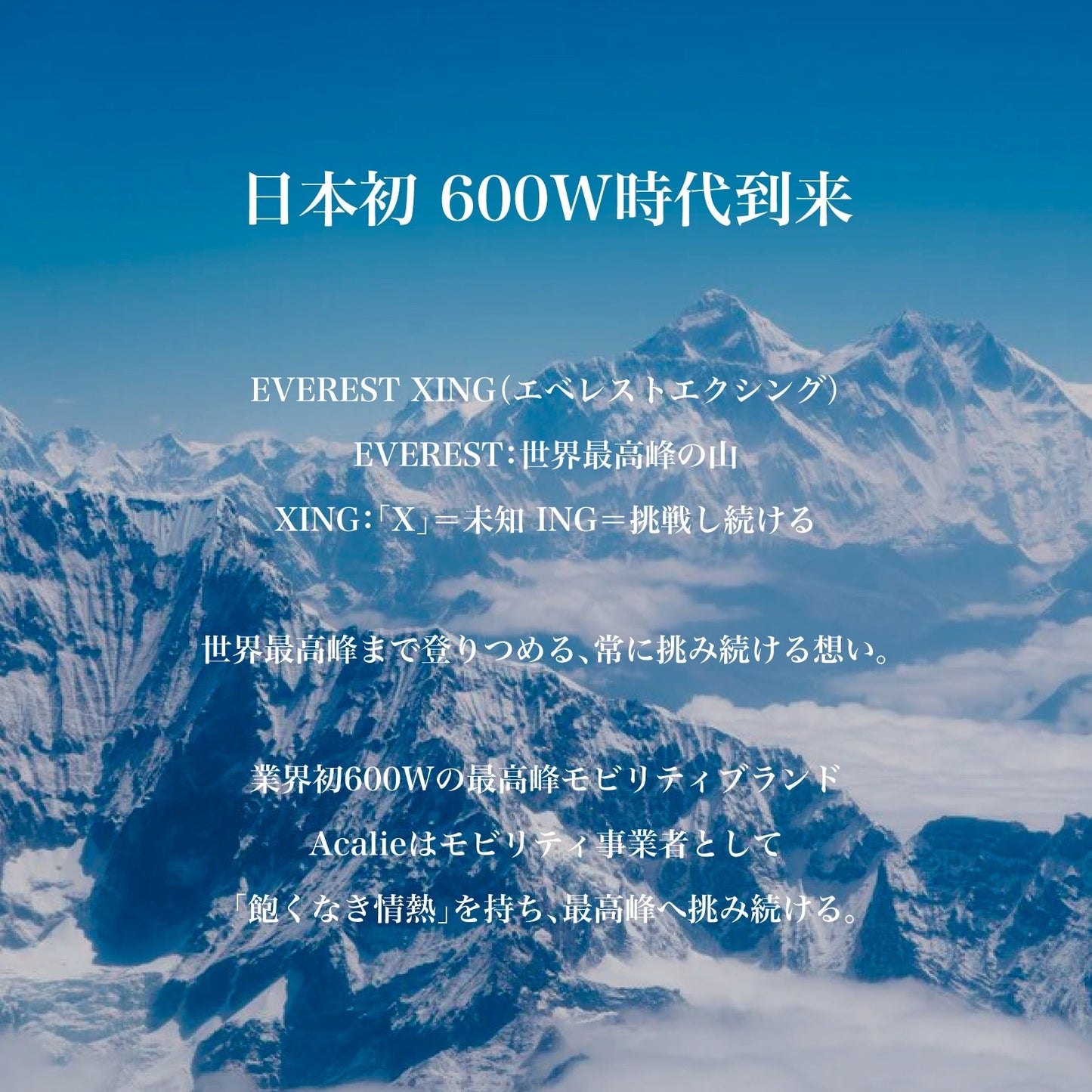【予約キャンペーン!】EVEREST XING EX15 PRO(スレートブラック) 特定小型原付モデル 電動キックボード 業界最強600Wモーター搭載