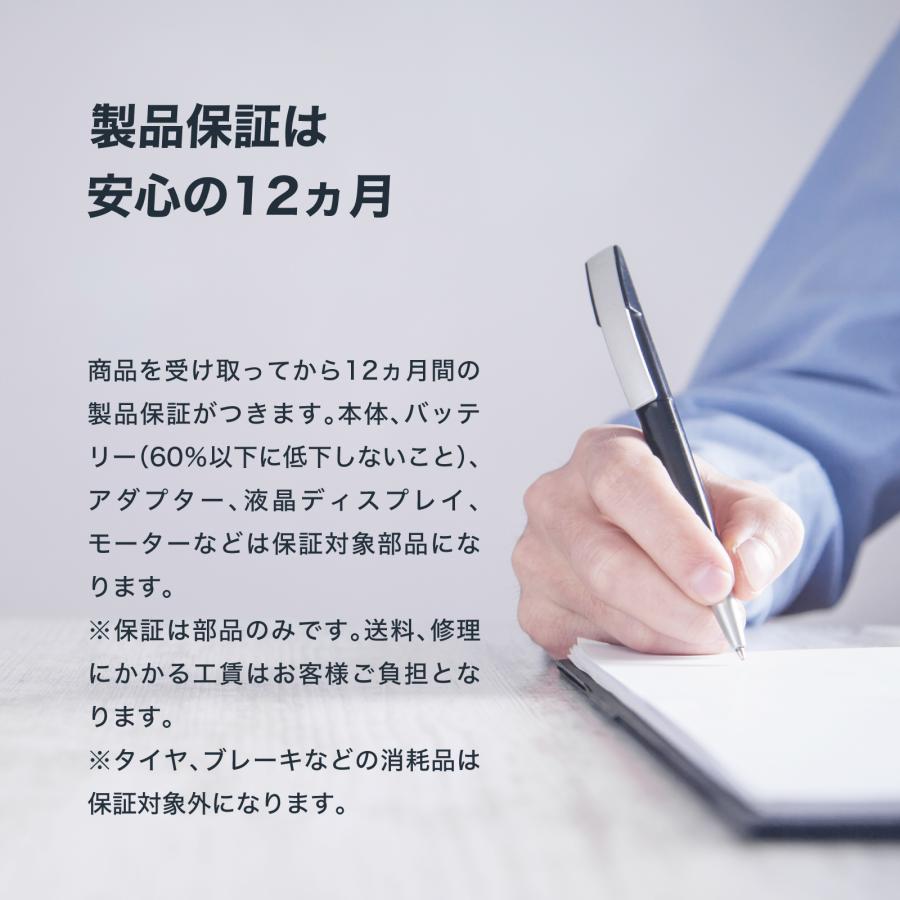 【即納】RICHBIT CITY(サクラピンク)電動バイク 特定小型原付モデル 公道走行可能 性能認定適合