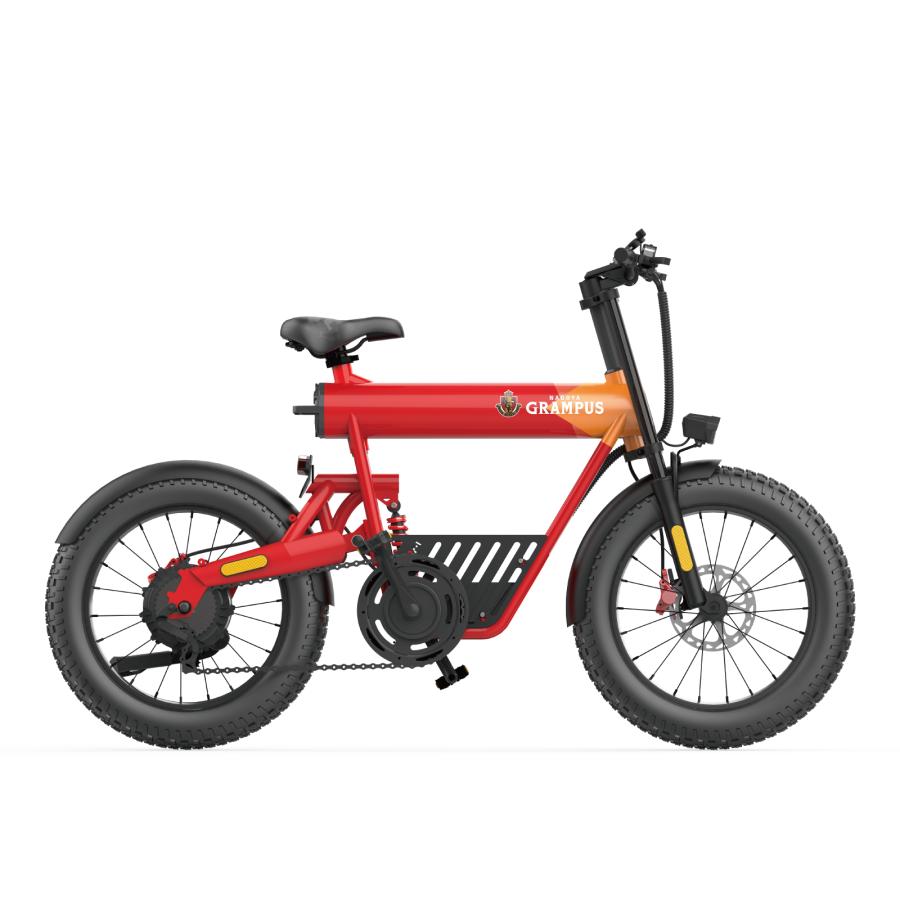 電動アシスト自転車 COSWHEEL MIRAI SPORTY 20インチ ファットタイヤ 通勤 通学 道路交通法の基準に適合