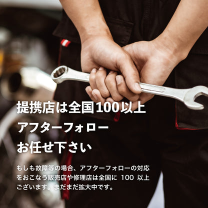 RICHBIT ES1 Pro★特定小型原動機付自転車モデル【ブルー】電動キックボード 公道/歩道走行可能 20km/h以下