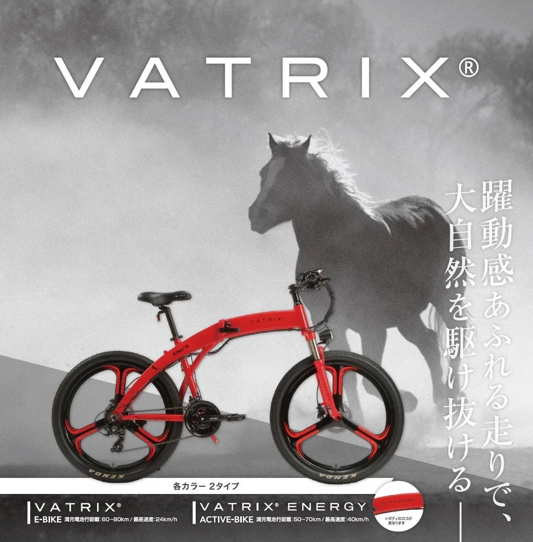 VATRIX　高級電動アシストマウンテンバイク